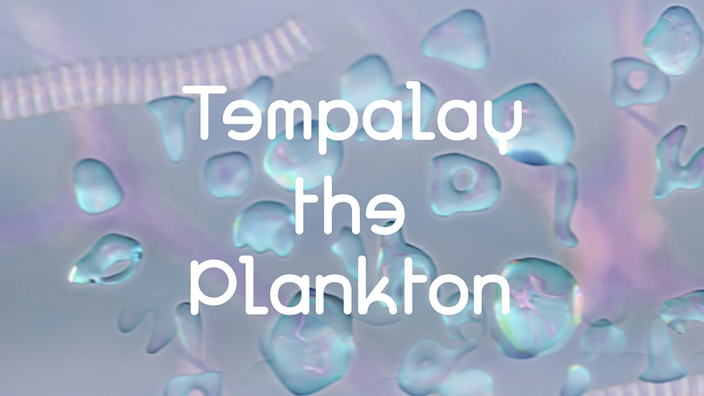 [重要]システムメンテナンスのお知らせ